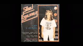 Sibel Egemen - Sahte gözyaşları 1979 (internette olmayan şarkılar) Resimi
