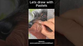 Draw pet portraits with pastels #animalart #wildlifeart #artinstruction
my new FREE pastel course - https://art.jasonmorgan.co.uk/pastels-made-simple-org Draw pet portraits with pastels #animalart #wildlifeart #artinstruction