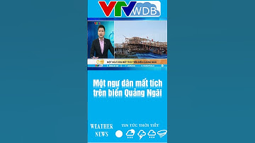 Một ngư dân mất tích trên biển Quảng Ngãi | VTVWDB