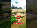 TAMAN CASA GREEN KARAWANG