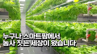 스마트팜 평당 시공비용은? 누구나 스마트팜으로 농장주가 되는 세상입니다.