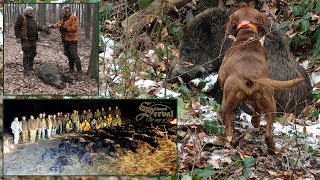 The best wildboar driven hunt in Viroviticka Bilogora Croatia 2019  Wildschweindrückjagd