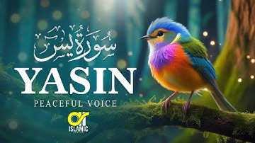 Surah Yasin (Yaseen) سورة يس | Relaxing emotional best voice ever | EP -124 @islamicvideos.a.r