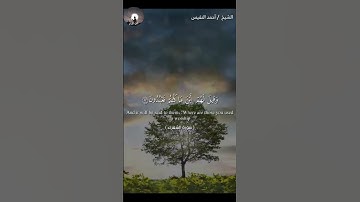 تلاوة هادئه بصوت الشيخ أحمد النفيس 🎧