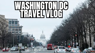 Washington DC VLOG (Food Reviews, Best Thai Food in DMV and Ramen Noodles)