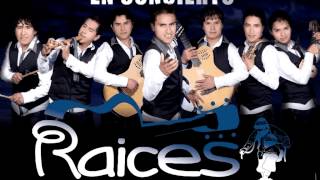 Video thumbnail of "Raíces 2012 - Mix Shapis"