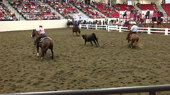 Mary Jo Milner's Championship Cutting Horse Run, C...
