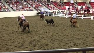 Mary Jo Milner's Championship Cutting Horse Run, Calgary Stampede 2014