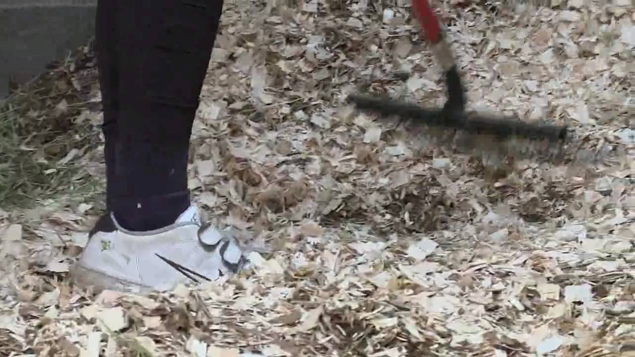 Blue Frog Bedding YouTube