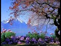 آهنگ گلنار خواننده علی سیار آهنگ گلنار خواننده علی سیار