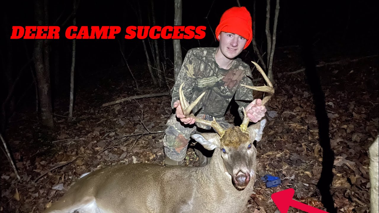 УСПЕХ лагеря оленей!! 🦌