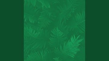 Pulsating Backdrops for Calming Mornings