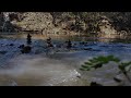 Relaxing River Nature Sounds for Sleep & Study (No Talking)