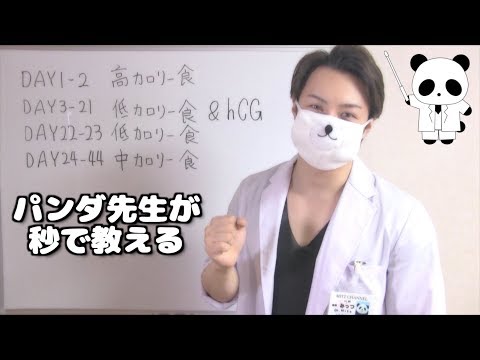 hCGダイエットのサイクルの組み方