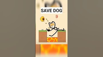 save the dog ☺️ level 900 #shorts #savethedoge #short