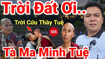 525: Trời Đất Ơi.. Thầy Tuệ Tu Giả Lộ Rõ Tà Đạo ..Sư Cô Úc Ra Tay Đưa A yêu Về Úc