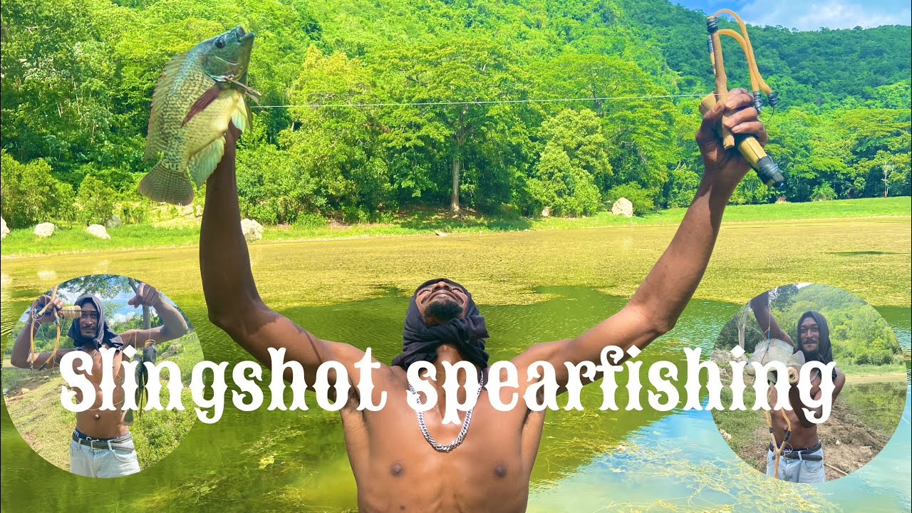 Slingshot spearfishing in Jamaica for the first time catch Ñ cook