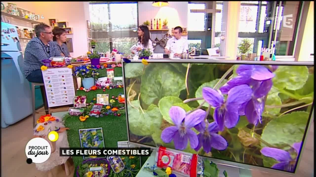 Notre produit du jour : les fleurs comestibles