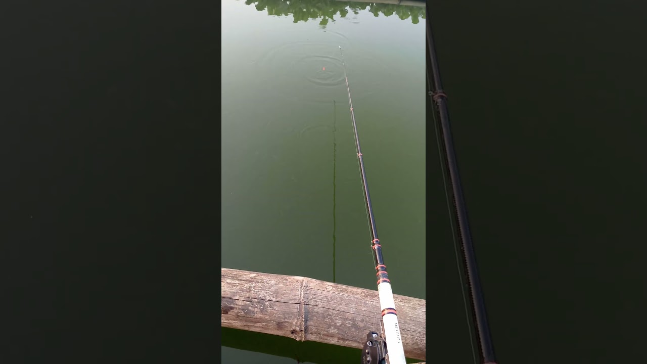 Pelampung ngetrik sensitif