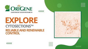 Introducing CytoSections™ – Reproducible and Renewable Controls for IHC, ICC and ISH