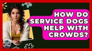 How Do Service Dogs Help With Crowds? - Answers About Autism