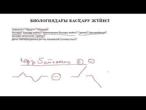 Бейне: Биологиядағы веламен дегеніміз не?