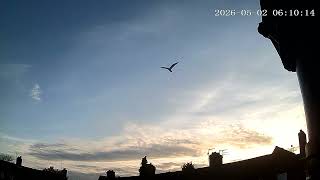 (2/5/2026) 6:04am HULL (Uk) SVE [0164]