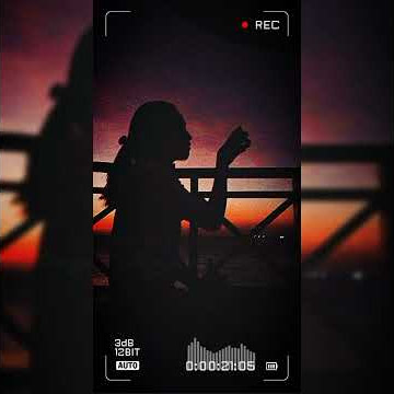 Story WA || Lagu Barat Terbaru || Motivasi Hidup || I Will Lirik dan terjemahan