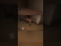 kamla horror gameplay 13 #kamla #horrorgame #viral
