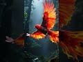 Feathers Or Fire This Bird Is On Another Levelрџ Ґрџ ЉпёЏ Birds Birdsong Wildlife Viral Nature Mother Feathers Or Fire This Bird Is On Another Levelрџ Ґрџ ЉпёЏ Birds Birdsong Wildlife Viral Nature Mother