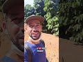 fiquei pra trás #agro # #sitio