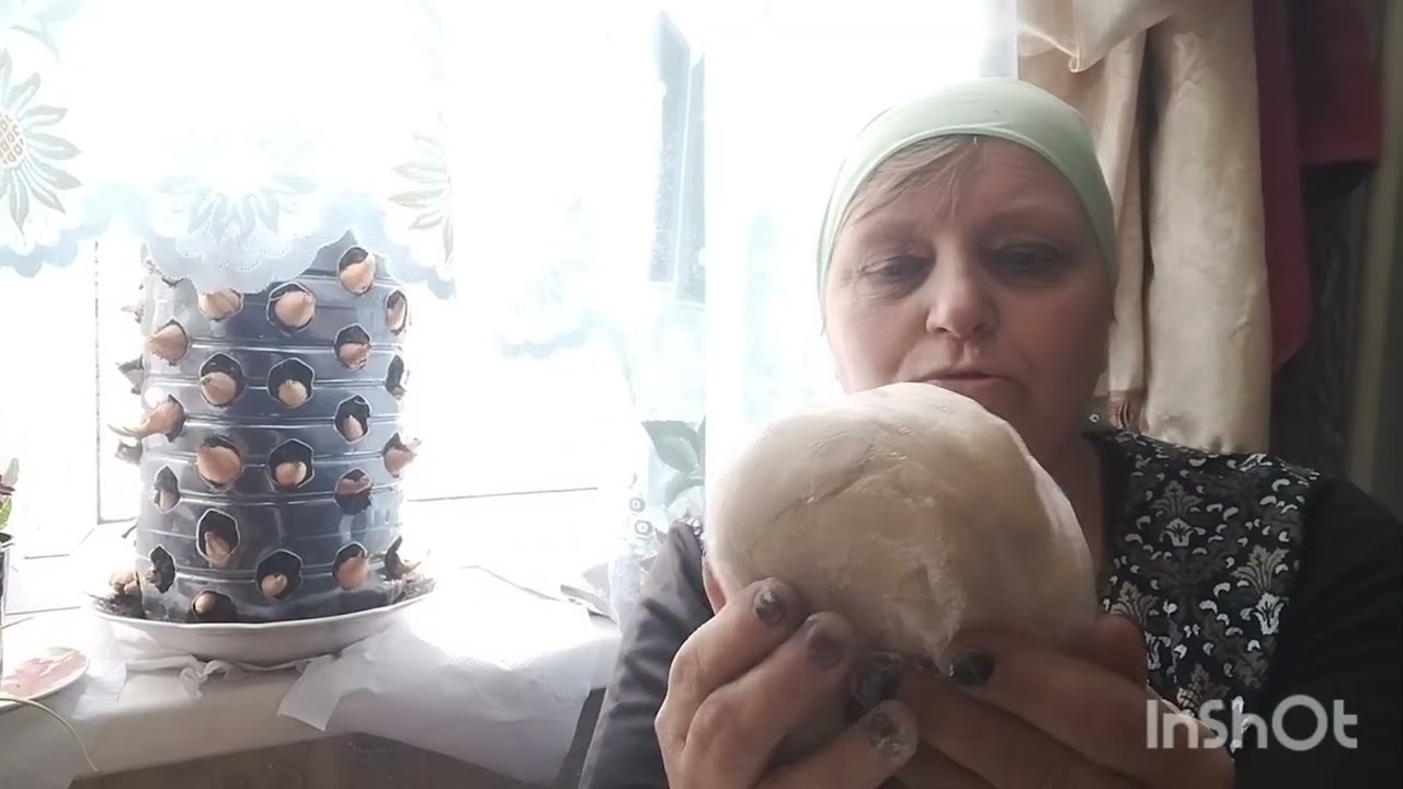 Квіти для душі ,ліплю вареники,корови не має ,а сир є