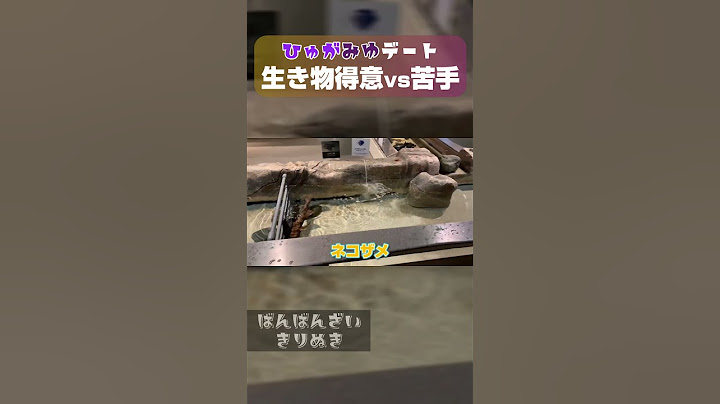 苦笑いやめて？ - 【サウナ】コムドットひゅうがをチルデートに誘ったら過去1盛り上がりすぎたwwww【コムばんざい】【shorts】【ばんばんざい】【切り抜き】