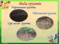 Природознавство Ґрунти України  Охорона ґрунтів   4 клас