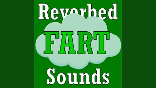 Fart sounds with mega reverb
