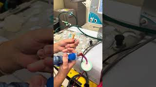 TXP-2D Phasitron Circuit with Nitric Part 1