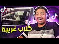 مقاطع تيك توك تضحك 😂 | كلاب غريبة 🐕