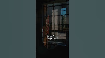 تلاوة طيبة للشيخ ياسر الدوسري#quran