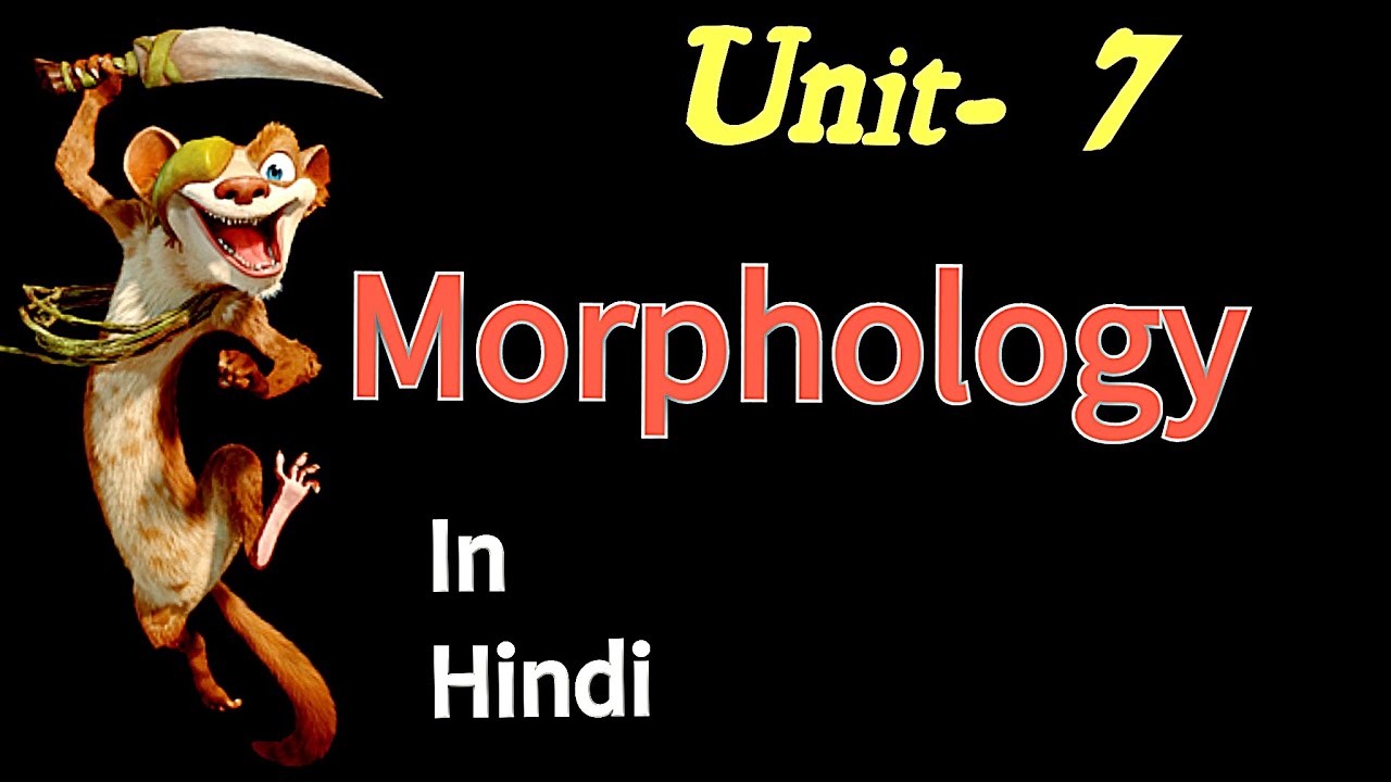 Morphology Vmou English Literature YouTube morphology-vmou-english-literature-youtube
