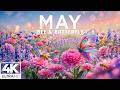 Springtime Splendor 4K | Buzzing Bees & Butterfly Garden Dreams 🌸 Nature in Full Bloom