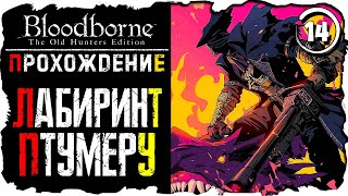 ПРОХОЖДЕНИЕ BLOODBORNE ЧАСТЬ 14 ✸ ЛАБИРИНТ ПТУМЕРУ! #bloodborne #vilmord