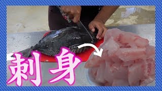サンノジを捌いてみた！#9.5