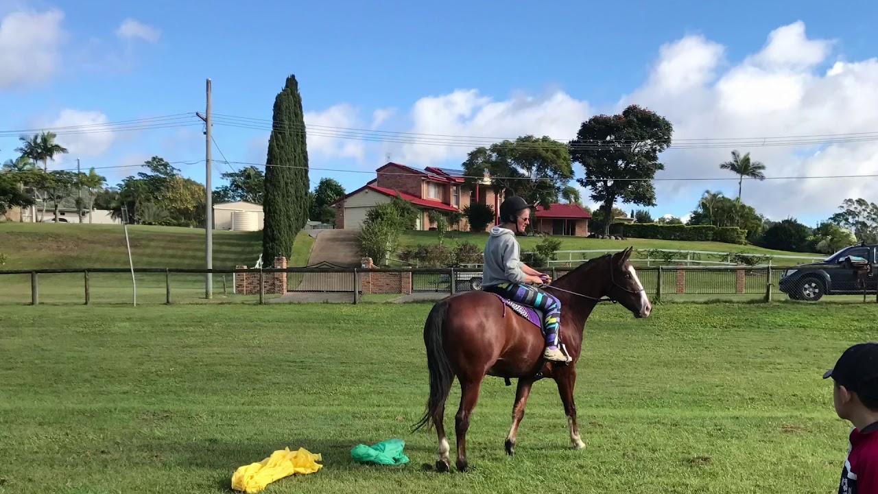 Horse Play Day YouTube