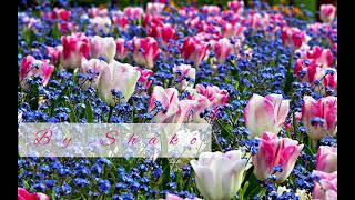 Ibrahim Tatlises - Mavişim 💙