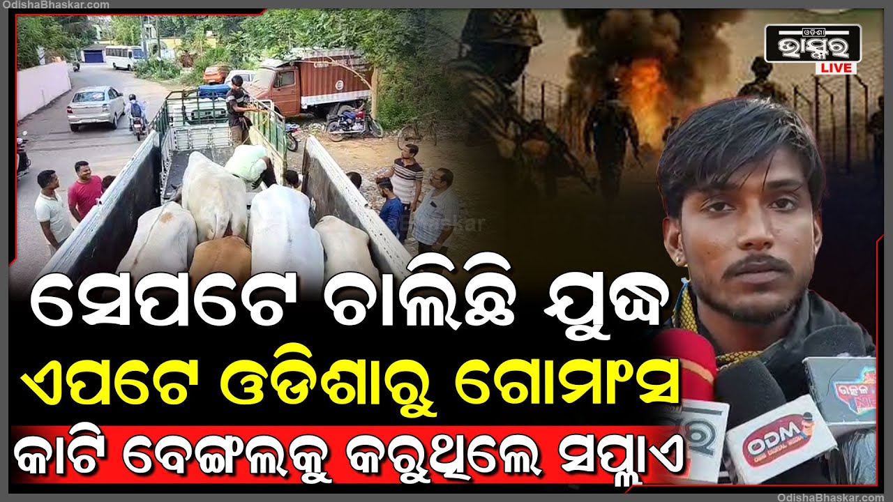 ସେପଟେ ଚାଲିଛି ଯୁଦ୍ଧ, ଏପଟେ ଲୁଚି ଲୁଚି ଓଡିଶାରୁ ଗୋ' ମାତାକୁ ବେଙ୍ଗଲକୁ ଚାଲାଣ କରୁଥିଲେ ଗୋ ମାଫିଆ...