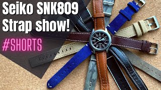 Seiko 5 SNK809 Strap Alternatives #shorts