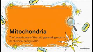 Download Lagu Mitochondria   Part 1 MP3