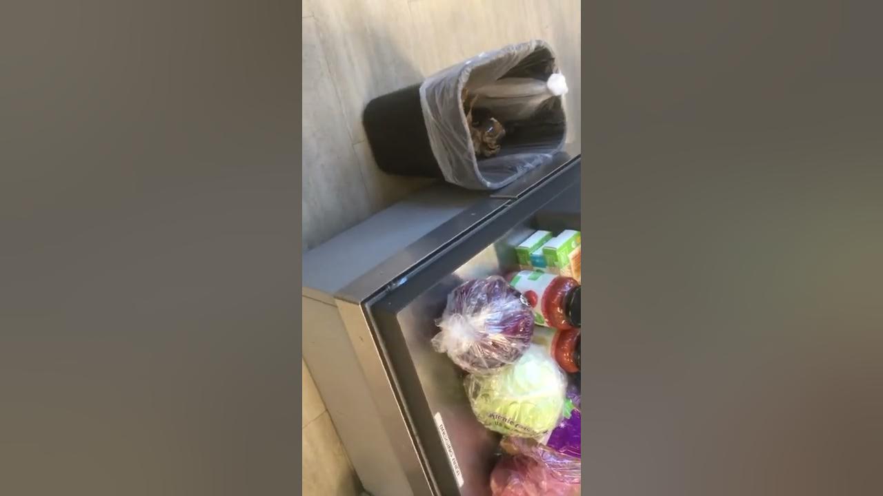 12.2.20 - RALPHS Studio City, CA - 12.2.20 Harassment and