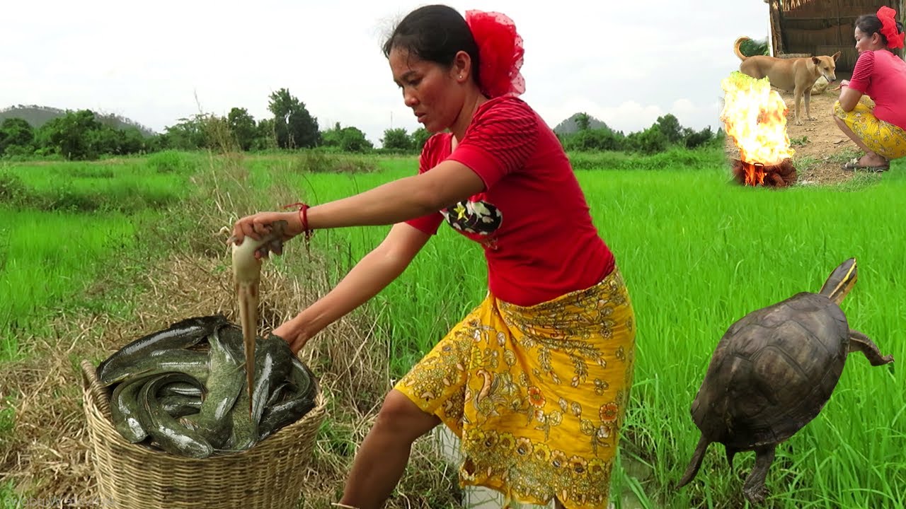 Food For Dogs : Catching fish in the field by hand - Cooking fish for dogs.