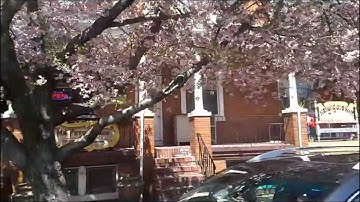 $5,000 Video----still in the early phase